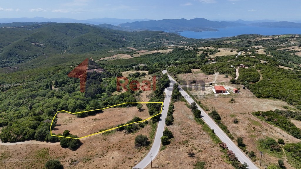Αγροτεμάχια 5.933 τ.μ. πρός πώληση, Μαγνησία, Αργαλαστή