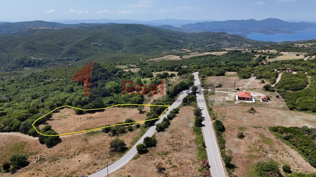 Αγροτεμάχια 5.933 τ.μ. πρός πώληση, Μαγνησία, Αργαλαστή