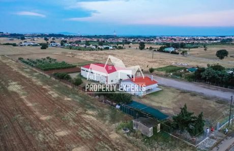 Βιοτεχνικός χώρος 525τ.μ. για πώληση-Αλεξανδρούπολη » Αμφιτρίτη