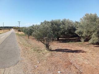 Οικόπεδο 4.000 τ.μ. για πώληση