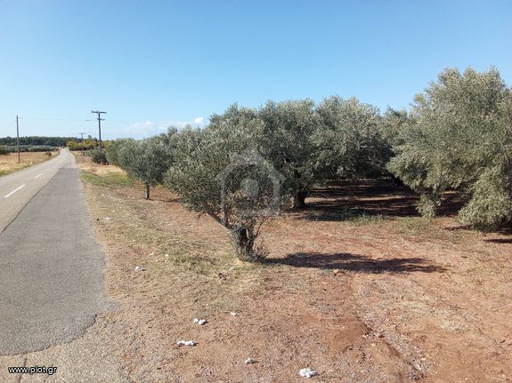 Οικόπεδο 4.000 τ.μ. για πώληση, Ν. Ροδόπης, Μαρώνεια