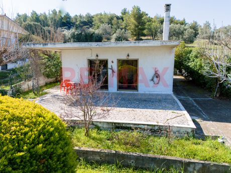 Μονοκατοικία 68τ.μ. για πώληση-Κ. σκάλας ωρωπού