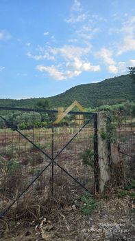 Αγροτεμάχια 1.100τ.μ. για πώληση-Άγιος γεώργιος » Νέα βρασνά