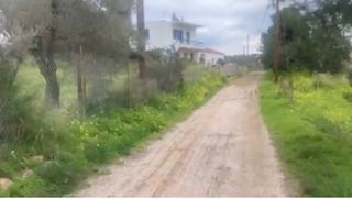 Οικόπεδο 4.208 τ.μ. για πώληση, Αργολίδα, Κρανίδι-thumb-1