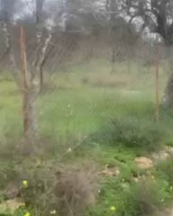 Οικόπεδο 4.208 τ.μ. για πώληση, Αργολίδα, Κρανίδι-thumb-2