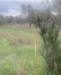 Οικόπεδο 4.208 τ.μ. για πώληση, Αργολίδα, Κρανίδι-thumb-6