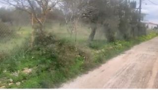 Οικόπεδο 4.208 τ.μ. για πώληση
