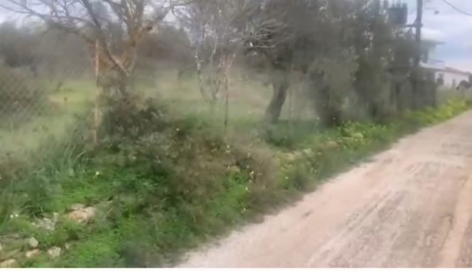 Οικόπεδο 4.208 τ.μ. για πώληση, Αργολίδα, Κρανίδι