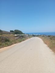 Οικόπεδο 17.000 τ.μ. για πώληση