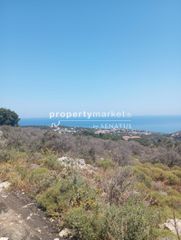 Οικόπεδο 130.000 τ.μ. για πώληση