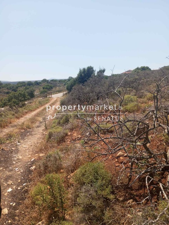 Οικόπεδο 130.000 τ.μ. πρός πώληση, Ν. Ρεθύμνου, Νικηφόρος Φωκάς