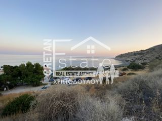 Οικόπεδο 340 τ.μ. προς πώληση, Μύρτος Ιεράπετρας-thumb-13