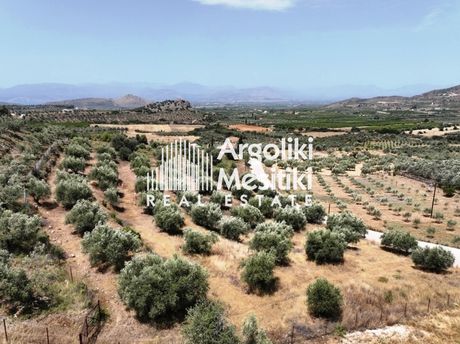 Αγροτεμάχια 4.218τ.μ. για πώληση-Νέα τίρυνθα » Προφήτης ηλίας
