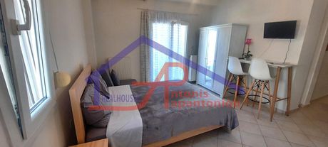 Studio / γκαρσονιέρα 30τ.μ. για ενοικίαση-Ιωάννινα » Εξοχή