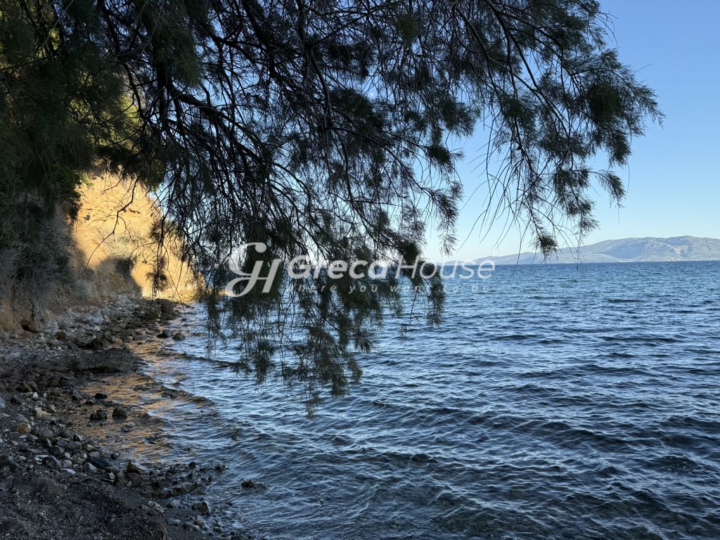 Βίλλα 571 τ.μ. πρός πώληση, Εύβοια, Αμάρυνθος