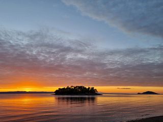 Αγροτεμάχια 11.000 τ.μ. για πώληση