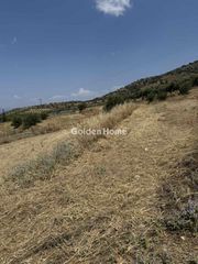 Οικόπεδο 2.817 τ.μ. για πώληση