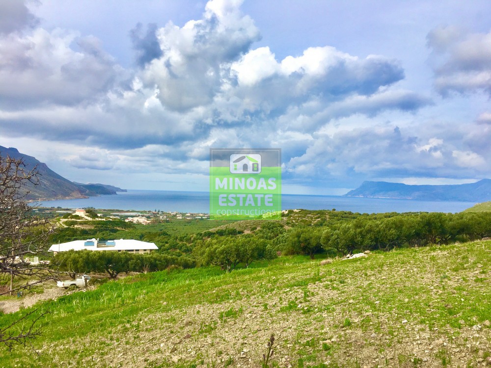 Οικόπεδο 13.328 τ.μ. προς πώληση, Τράχηλος