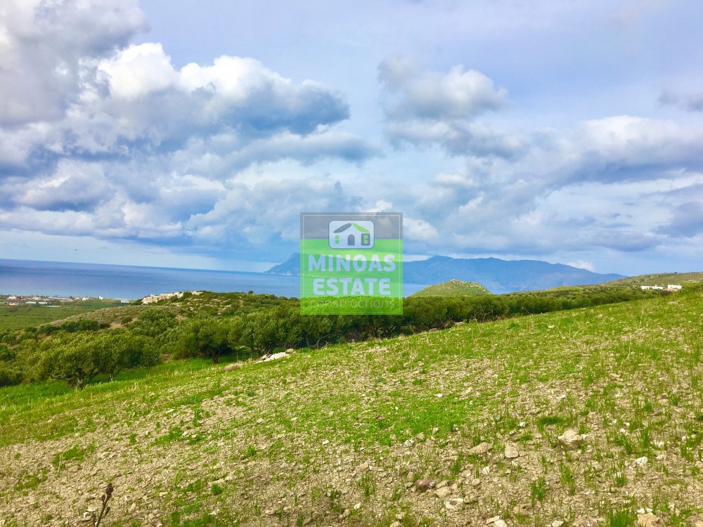 Οικόπεδο 13.328 τ.μ. προς πώληση, Τράχηλος