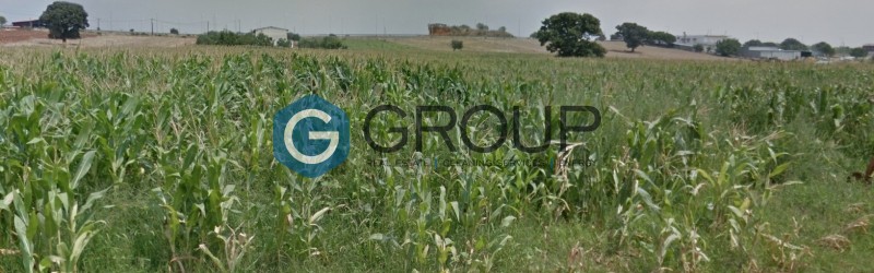 Αγροτεμάχια 6.600 τ.μ. πρός πώληση, Εβρος, Αλεξανδρούπολη