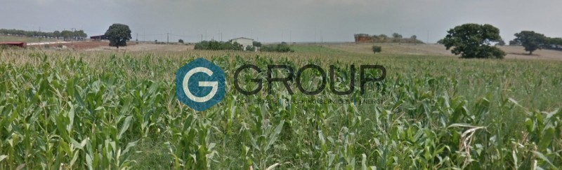 Αγροτεμάχια 6.600 τ.μ. πρός πώληση, Εβρος, Αλεξανδρούπολη
