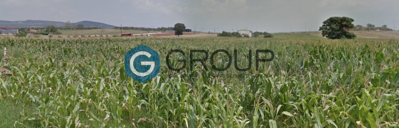 Αγροτεμάχια 6.600 τ.μ. πρός πώληση, Εβρος, Αλεξανδρούπολη
