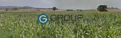 Parcel 6.600sqm for sale-Alexandroupoli » Kirki