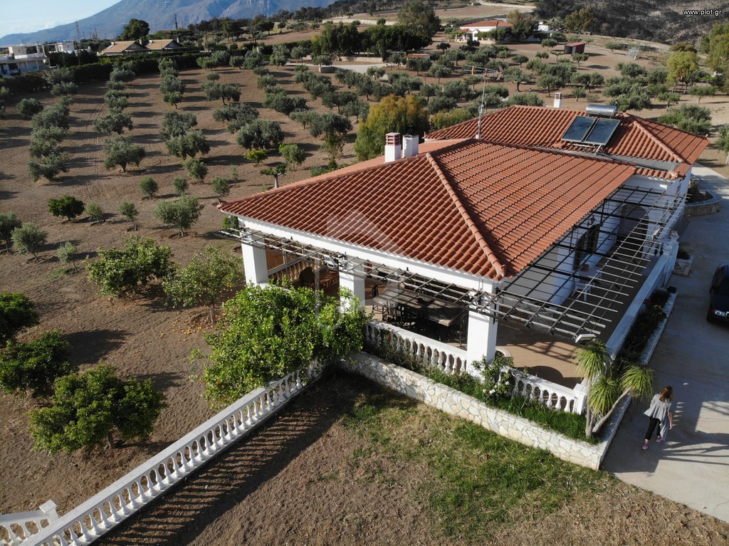 Αγροτεμάχια 55.500 τ.μ. πρός πώληση, Κορινθία, Λουτράκι-Περαχώρα
