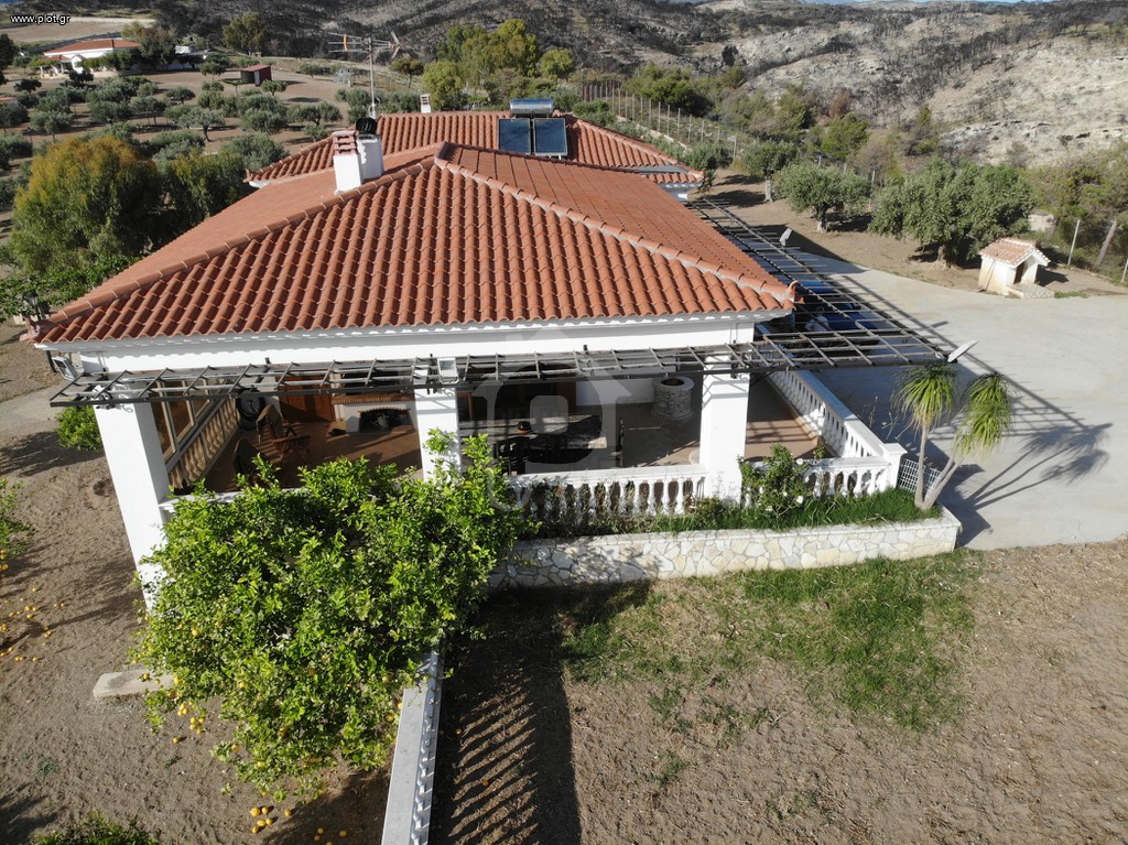 Αγροτεμάχια 55.500 τ.μ. πρός πώληση, Κορινθία, Λουτράκι-Περαχώρα