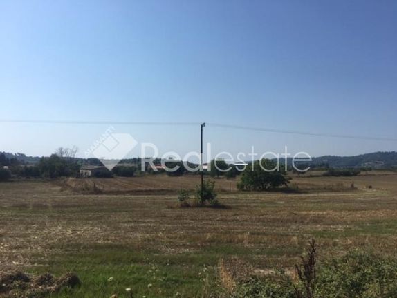 Αγροτεμάχια 5.000 τ.μ. για πώληση, Χαλκιδική, Κασσάνδρα