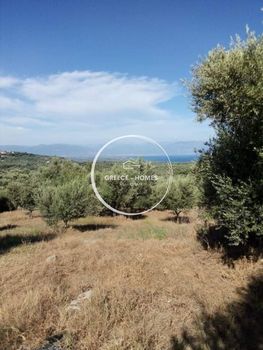 Αγροτεμάχια 12.000τ.μ. για πώληση-Πεταλίδι » Πανιπέρι