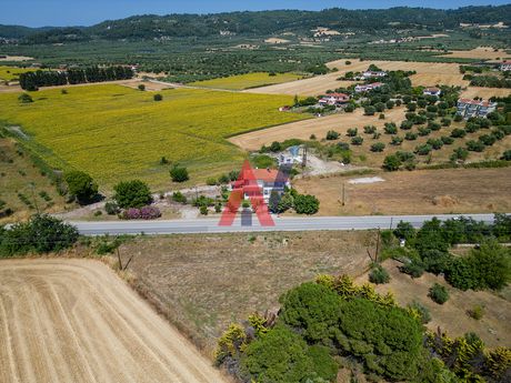 Land plot 1.442sqm for sale-Kassandra » Fourka