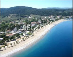 Οικόπεδο 673 τ.μ. για πώληση, Εύβοια, Αρτεμίσιο-thumb-2