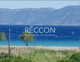 Οικόπεδο 673 τ.μ. για πώληση, Εύβοια, Αρτεμίσιο-thumb-1