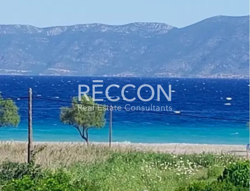 Οικόπεδο 423 τ.μ. για πώληση, Εύβοια, Αρτεμίσιο