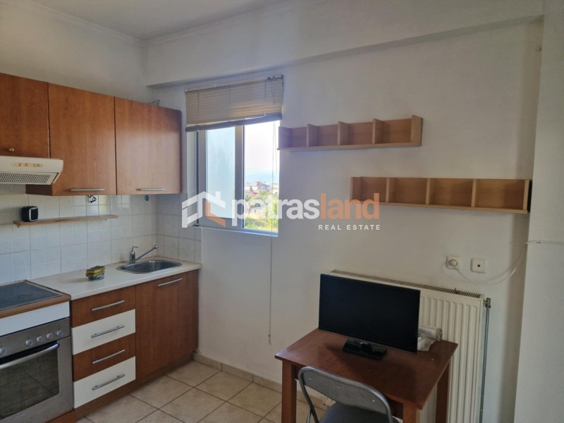Studio / γκαρσονιέρα 33 τ.μ. προς ενοικίαση, Συχαινά