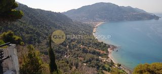 Αγροτεμάχια 10.959 τ.μ. για πώληση
