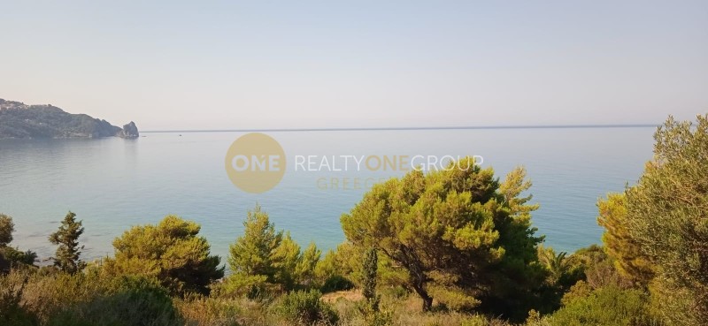 Αγροτεμάχια 10.959 τ.μ. πρός πώληση, Ν. Κέρκυρας, Κέρκυρα