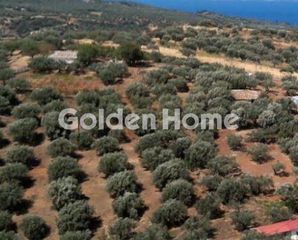 Οικόπεδο 6.000 τ.μ. για πώληση