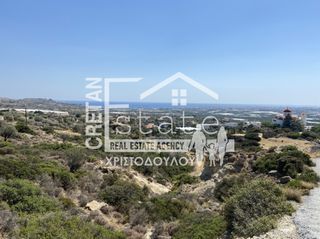 Αγροτεμάχια 4.000 τ.μ. για πώληση
