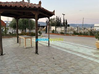 Κατάστημα 80 τ.μ. για ενοικίαση, Αργολίδα, Άργος-thumb-9