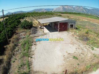 Οικόπεδο 700 τ.μ. για πώληση, Αργολίδα, Κουτσοπόδι-thumb-7