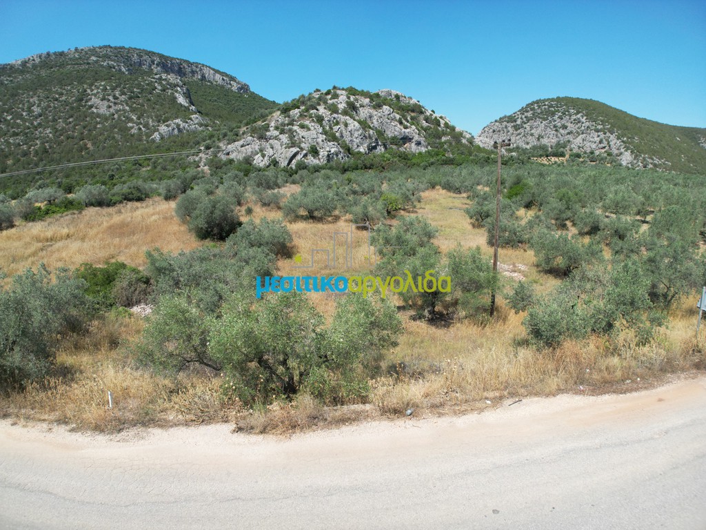 Αγροτεμάχια 6.719,28 τ.μ. προς πώληση, Δρέπανο Ασίνης
