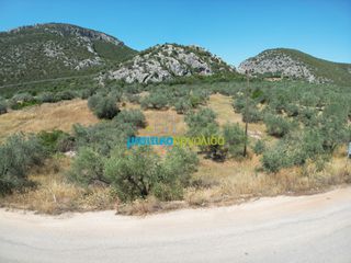Αγροτεμάχια 6.719,28 τ.μ. για πώληση, Αργολίδα, Ασίνη-thumb-1