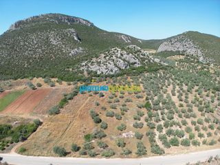 Αγροτεμάχια 6.719,28 τ.μ. για πώληση, Αργολίδα, Ασίνη-thumb-11