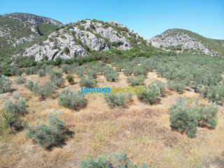 Αγροτεμάχια 6.719,28 τ.μ. για πώληση, Αργολίδα, Ασίνη-thumb-6