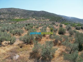 Αγροτεμάχια 6.719,28 τ.μ. για πώληση, Αργολίδα, Ασίνη-thumb-8