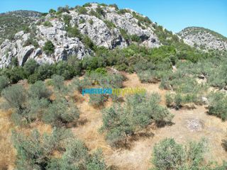 Αγροτεμάχια 6.719,28 τ.μ. για πώληση, Αργολίδα, Ασίνη-thumb-7