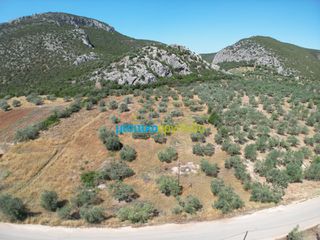Αγροτεμάχια 6.719,28 τ.μ. για πώληση, Αργολίδα, Ασίνη-thumb-10