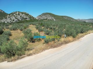Αγροτεμάχια 6.719,28 τ.μ. για πώληση, Αργολίδα, Ασίνη-thumb-2